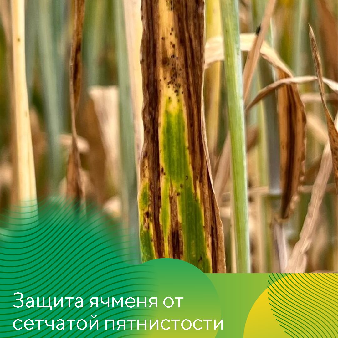Пост 14.04.2026 