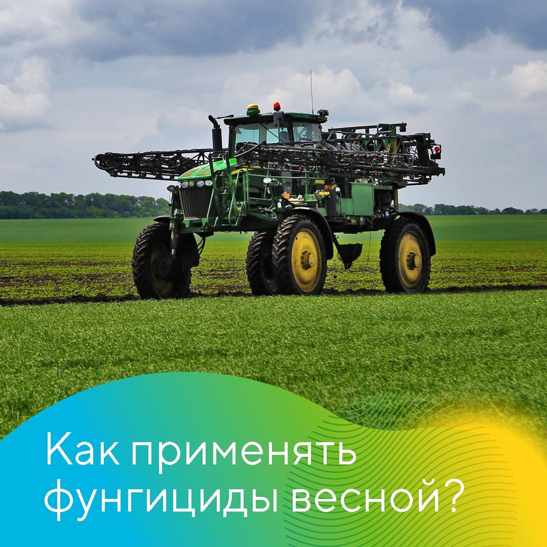 Ранневесенняя обработка фунгицидами