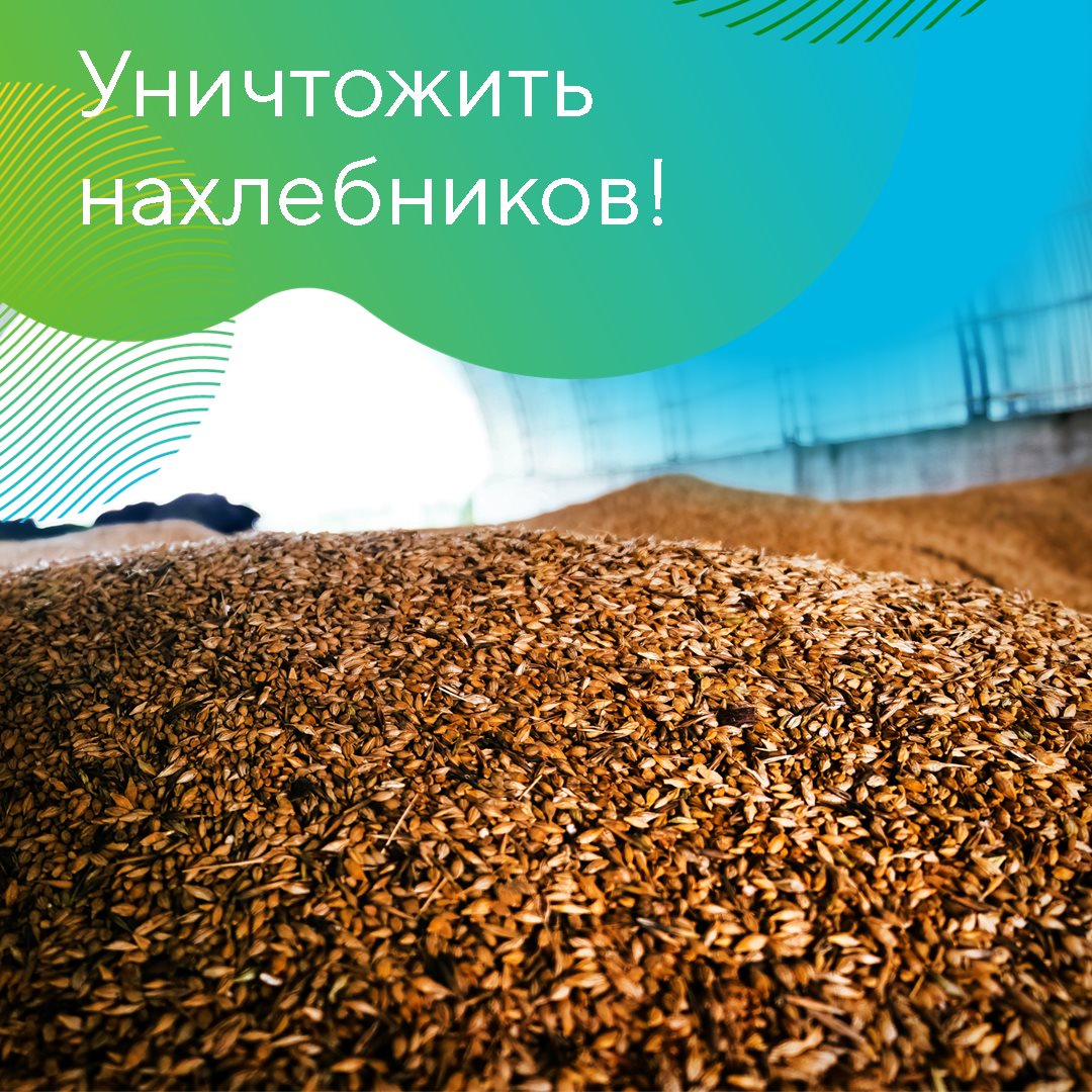 Пост 13.08.2025