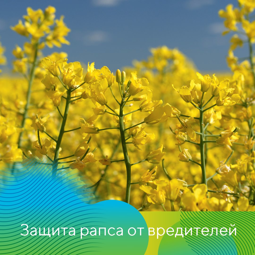 Пост 04.06.2025