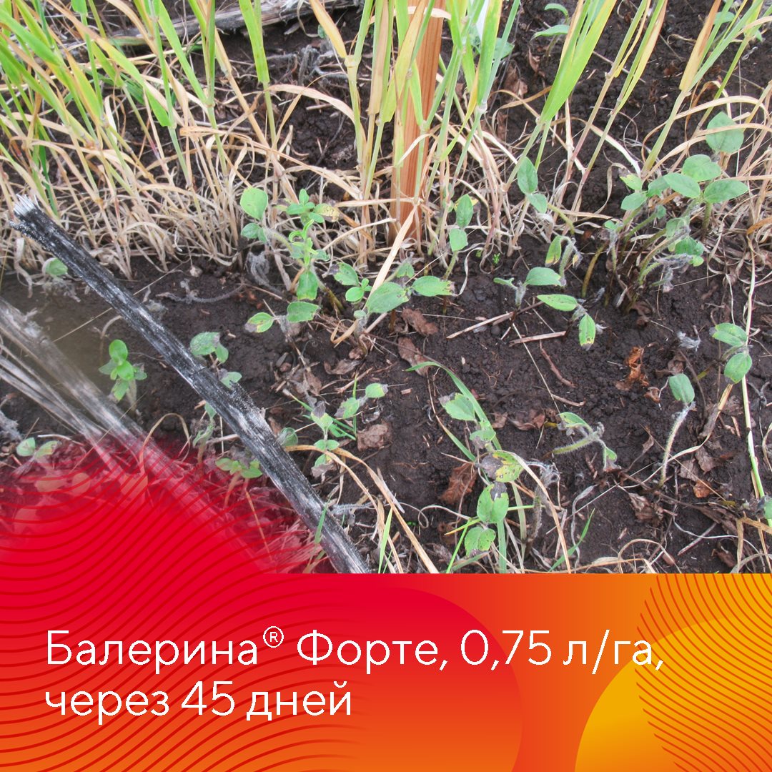 Пост 10.04.2025