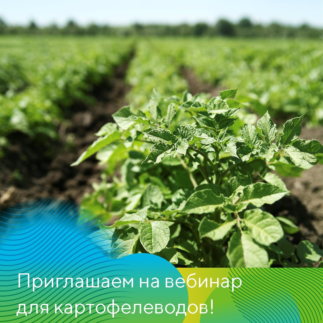 Пост 1.04.1