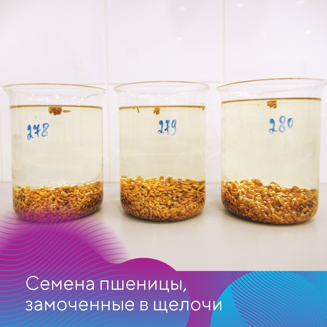 Пост 26.11.2024