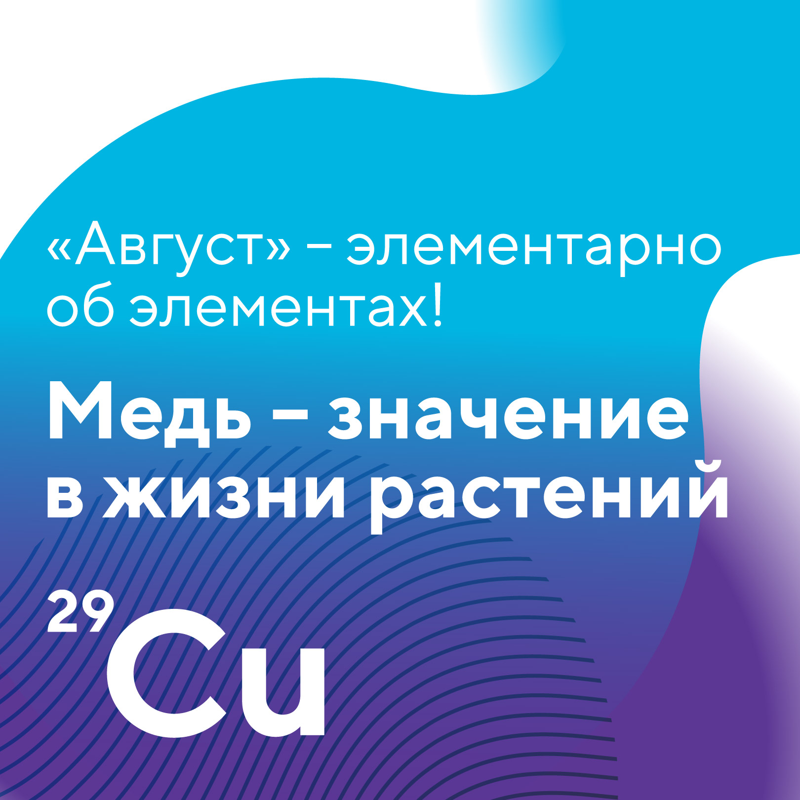 Пост 13.05.2026