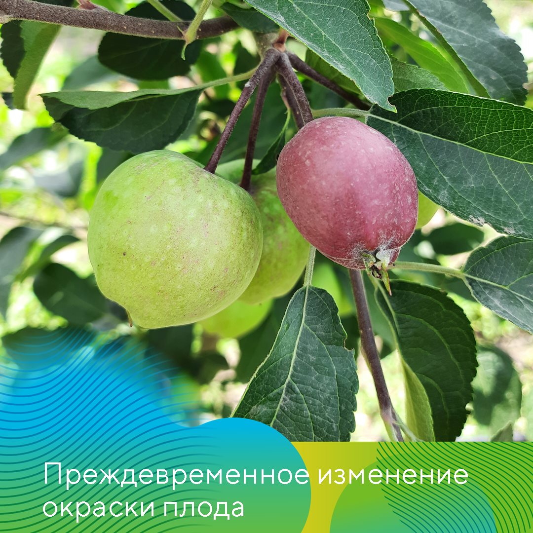 Пост 03.05.2024