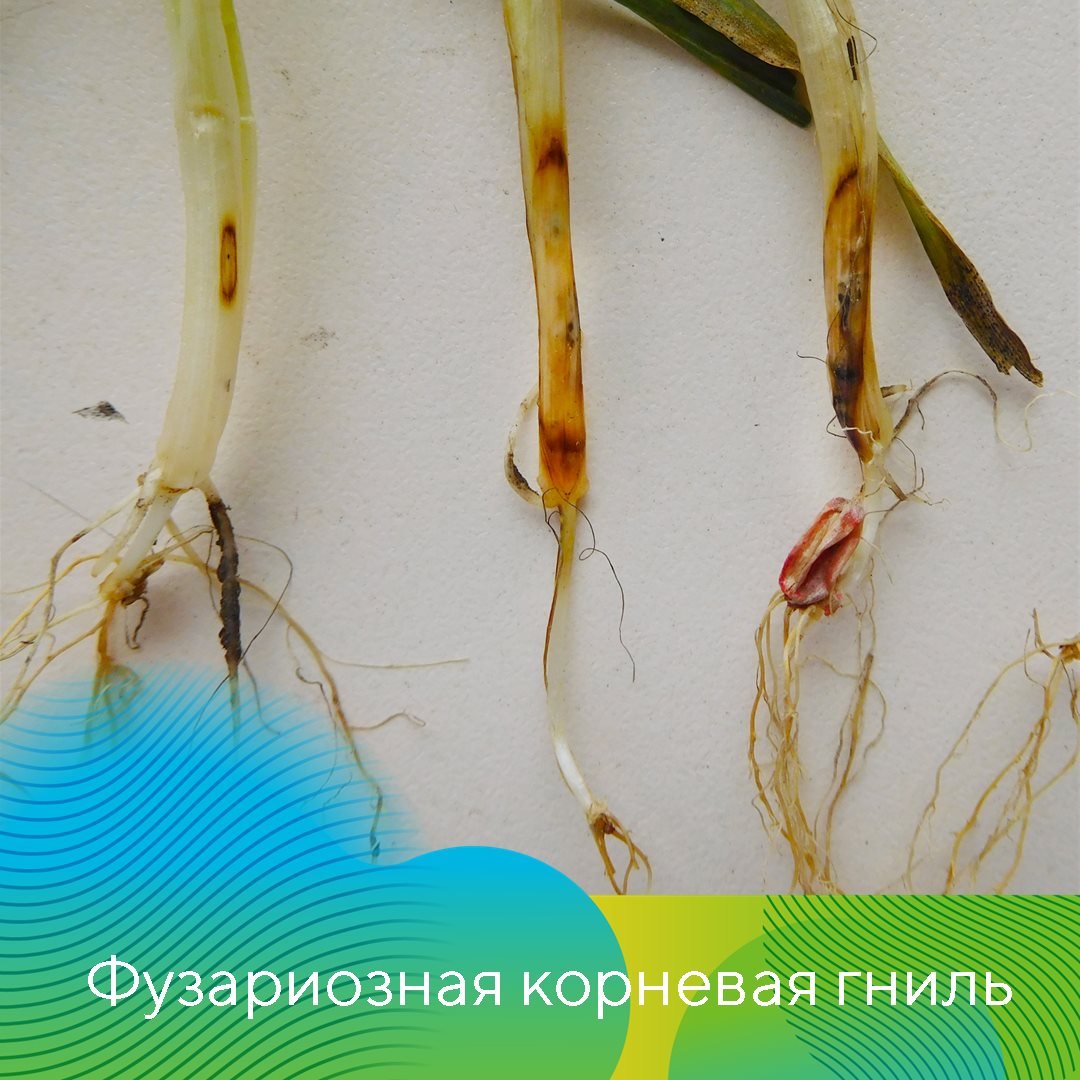 Пост 9.04.2026