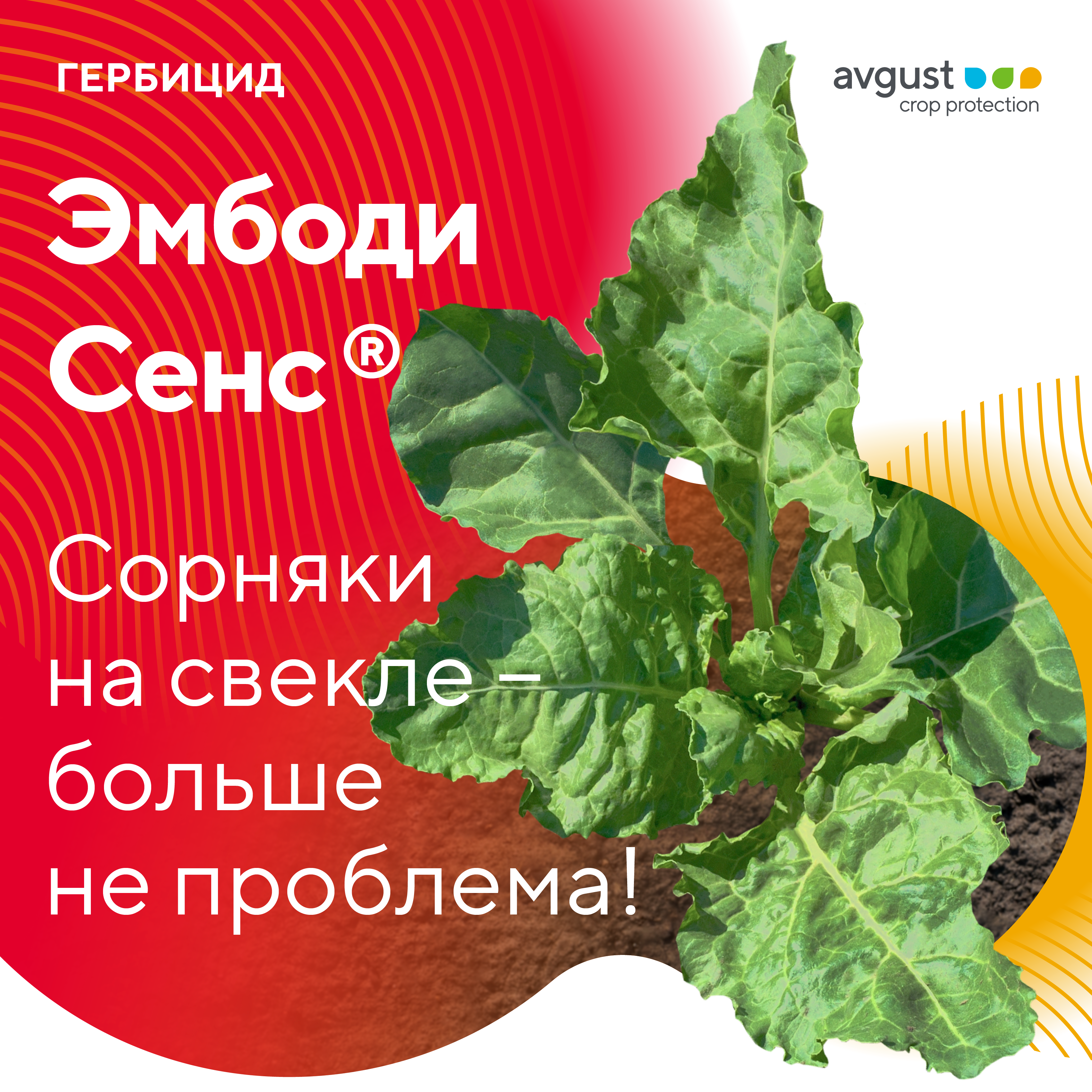 Пост 22.07.2026