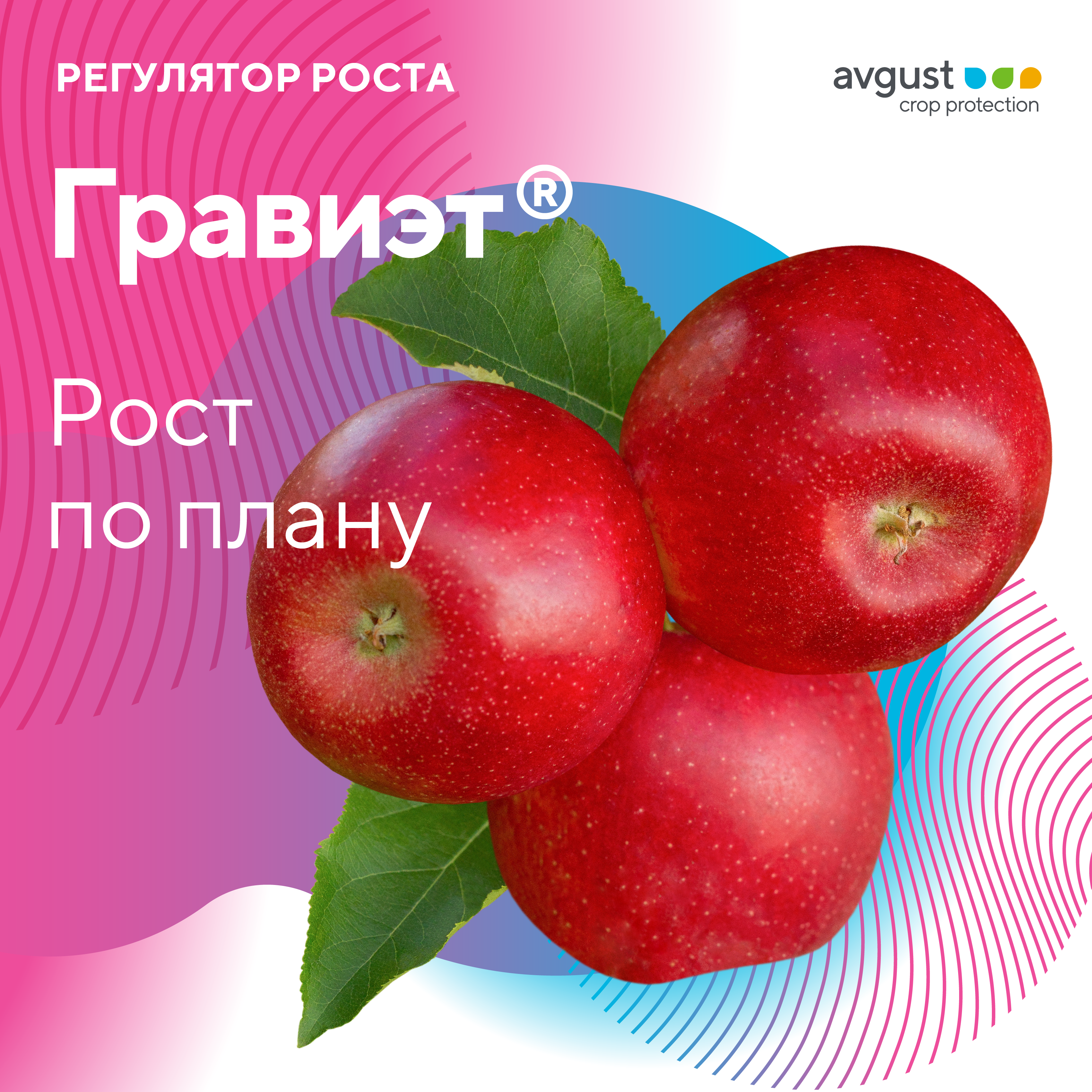 Пост 20.07.2026
