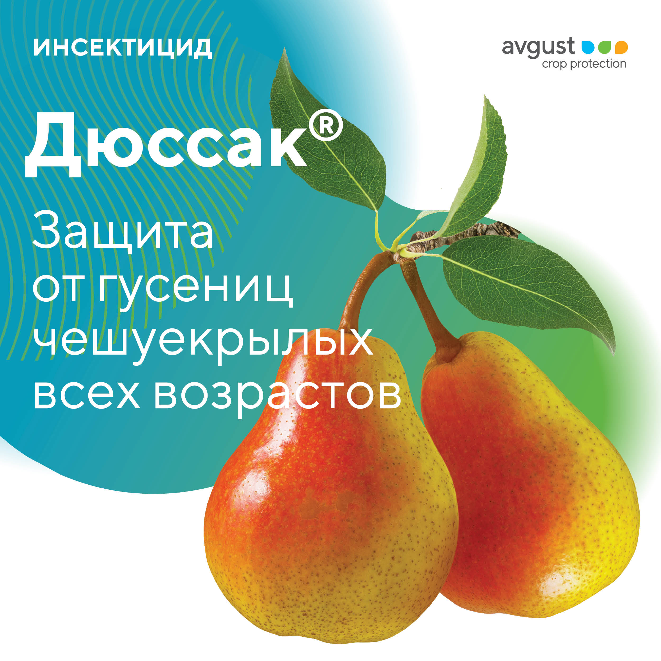 Пост 16.06.2025