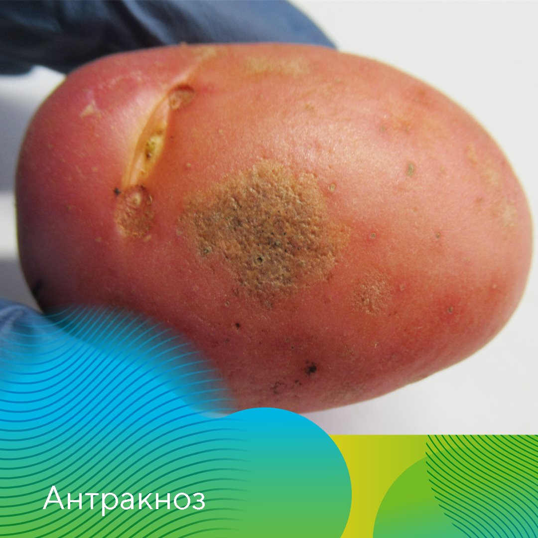 Пост 20.03.2026