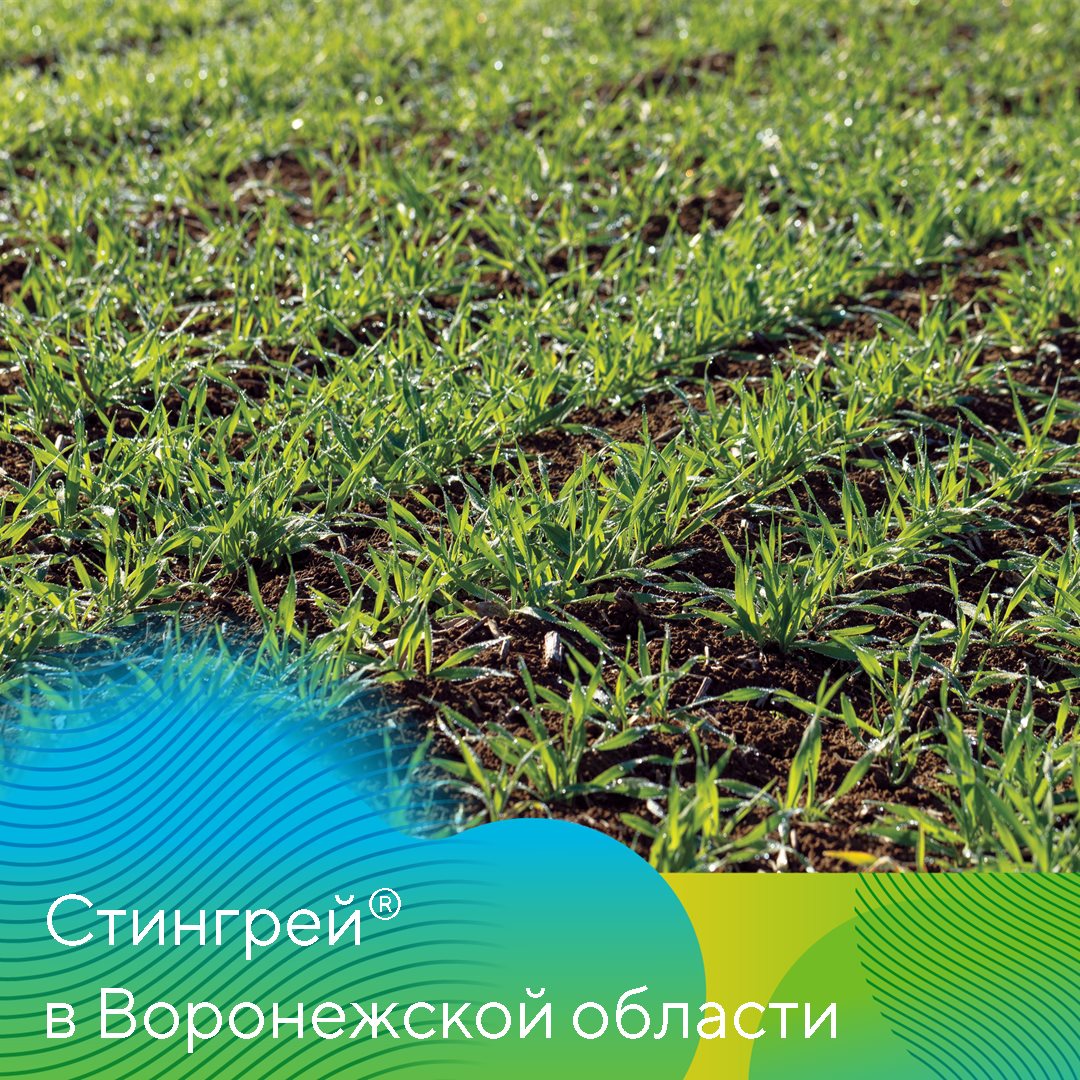 Пост 25.03.2025