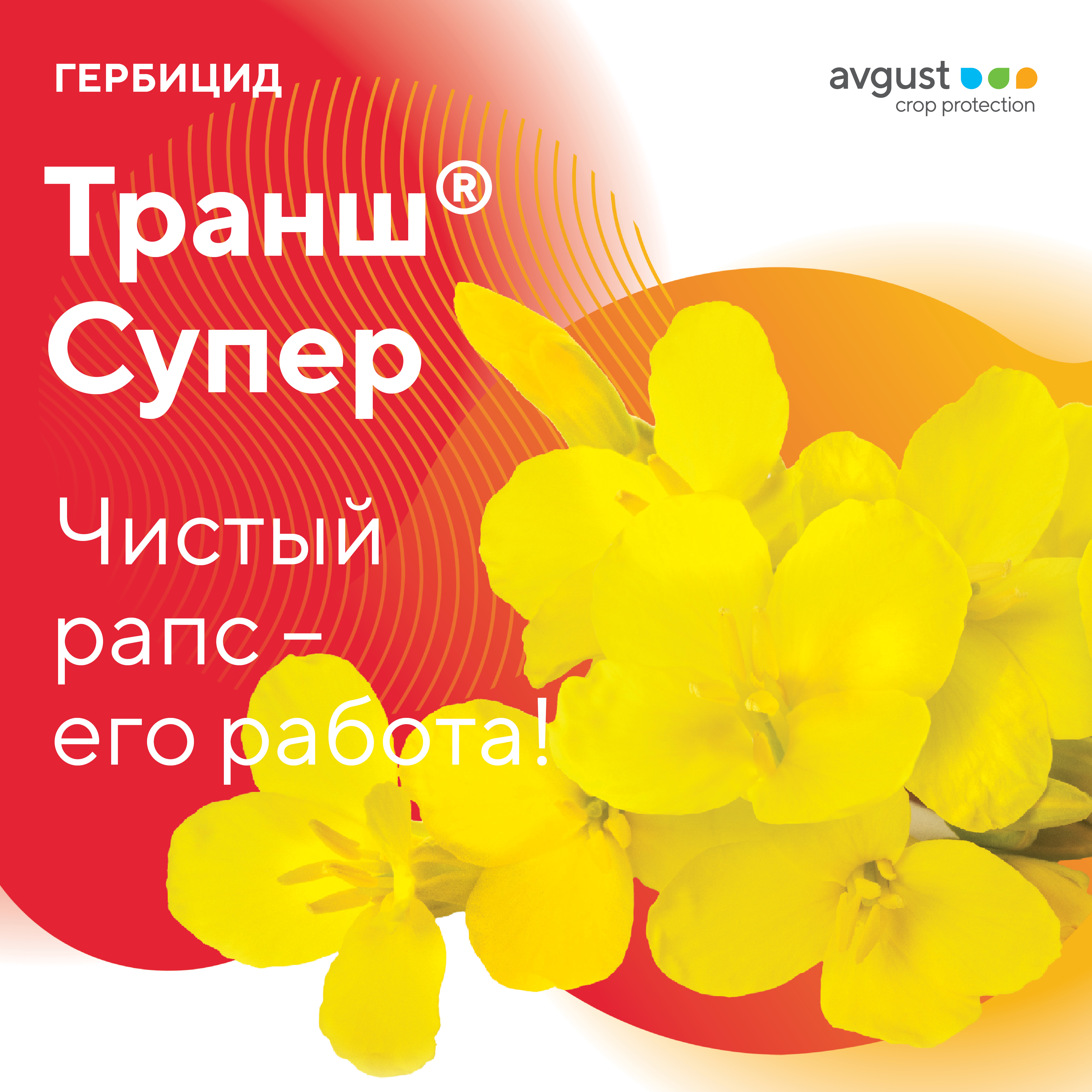 Пост 26.08.2024