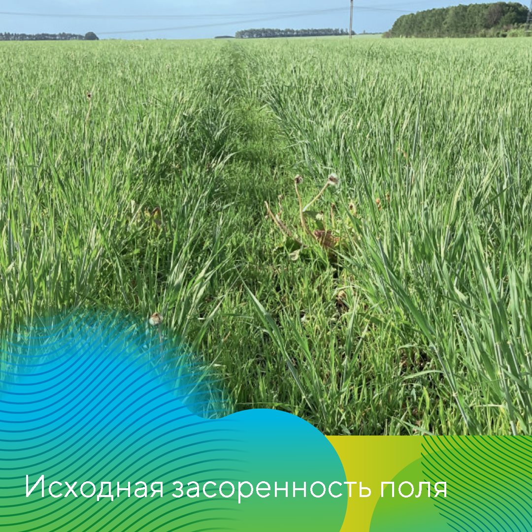 Пост 25.03.2025