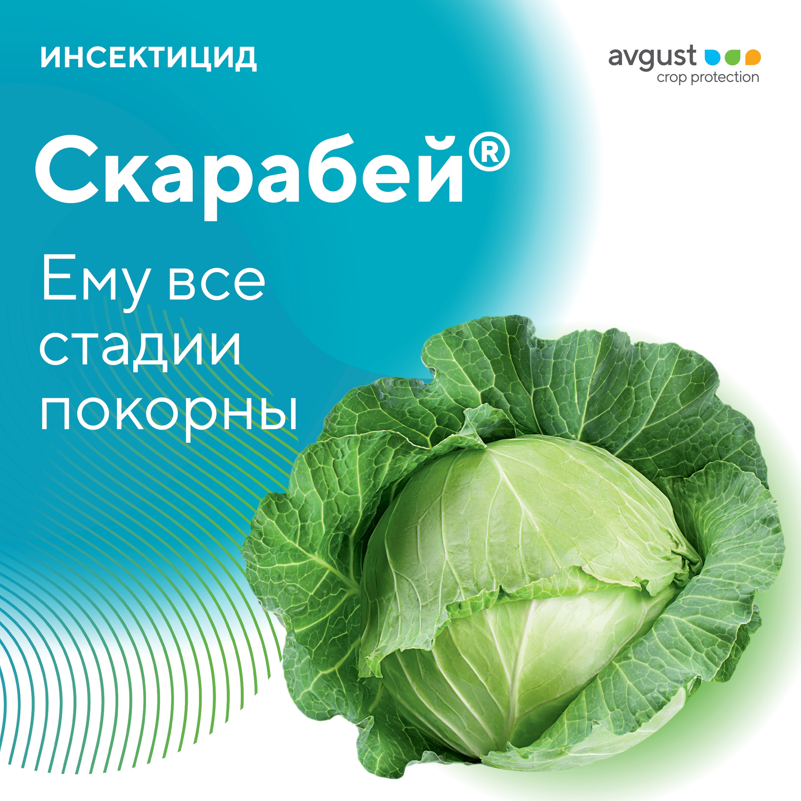 Скарабей®. Ему все стадии покорны!