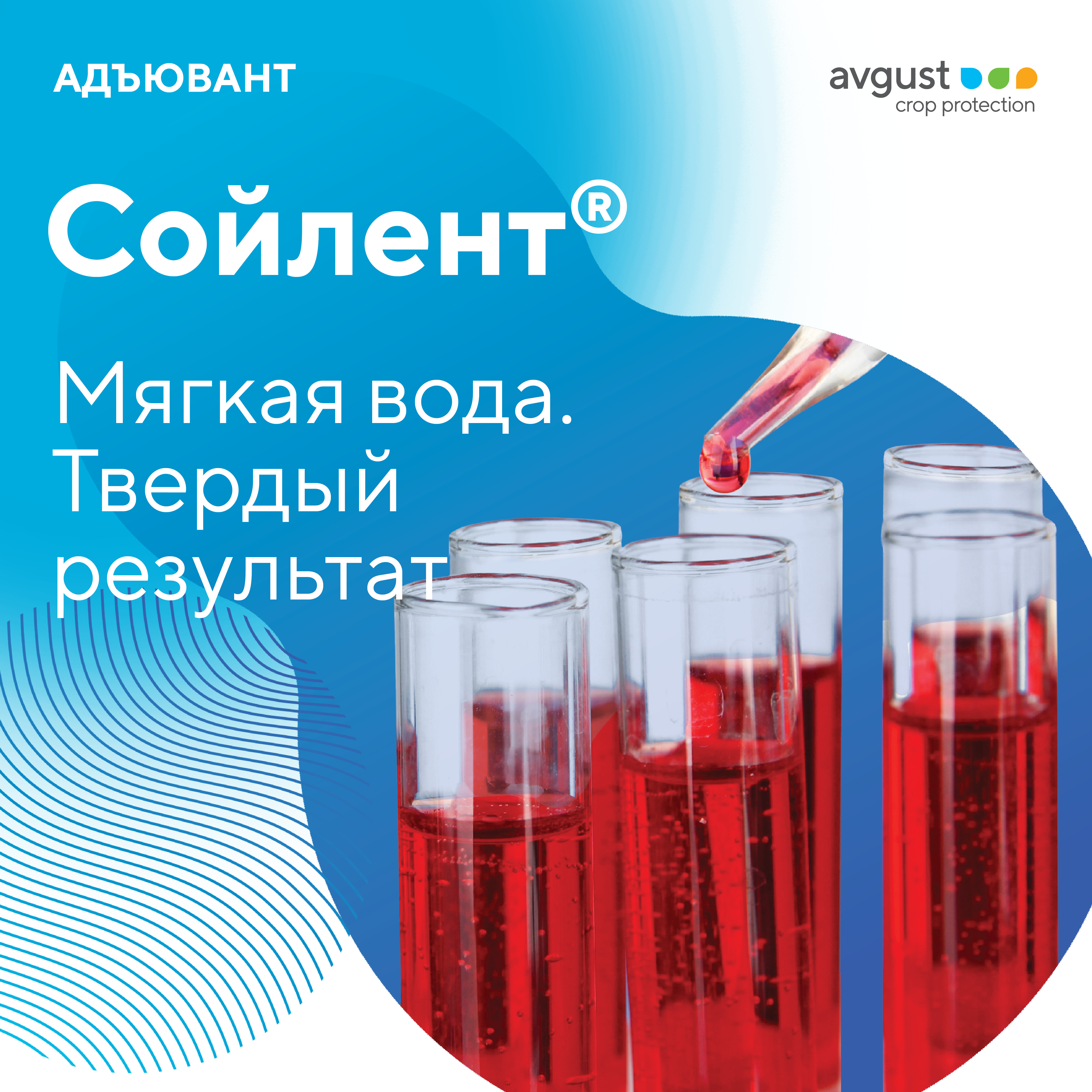 Сойлент 31.10.2023