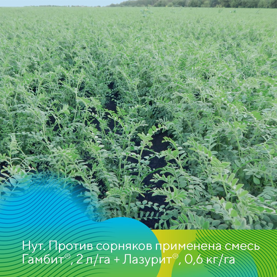 Пост 15.05.2026