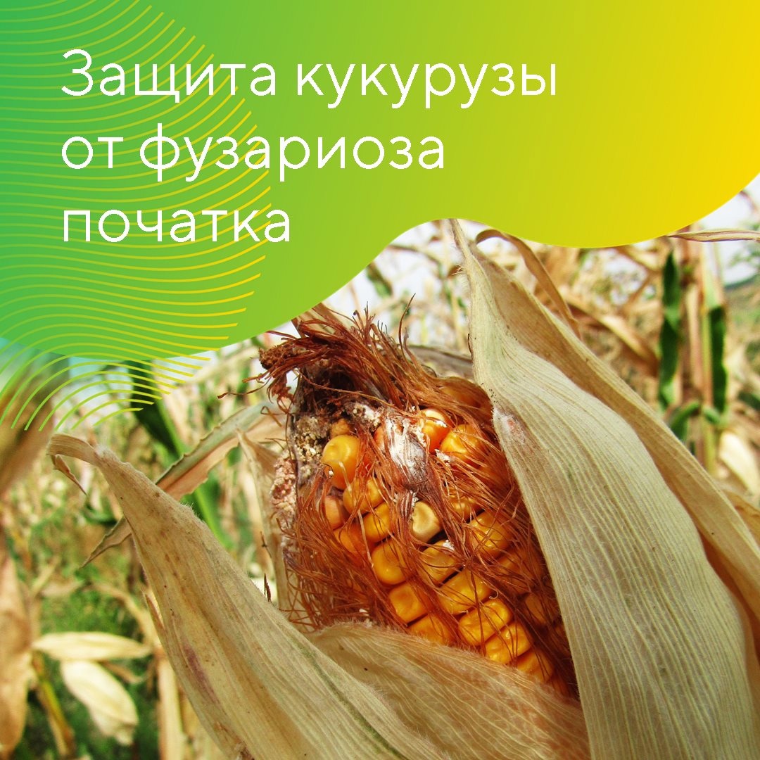 Рассказывает специалист отдела развития продуктов компании «Август» Владимир Барков (август)