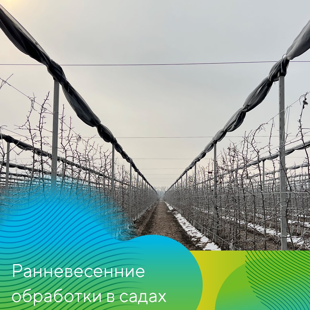 Пост 06.03.2025