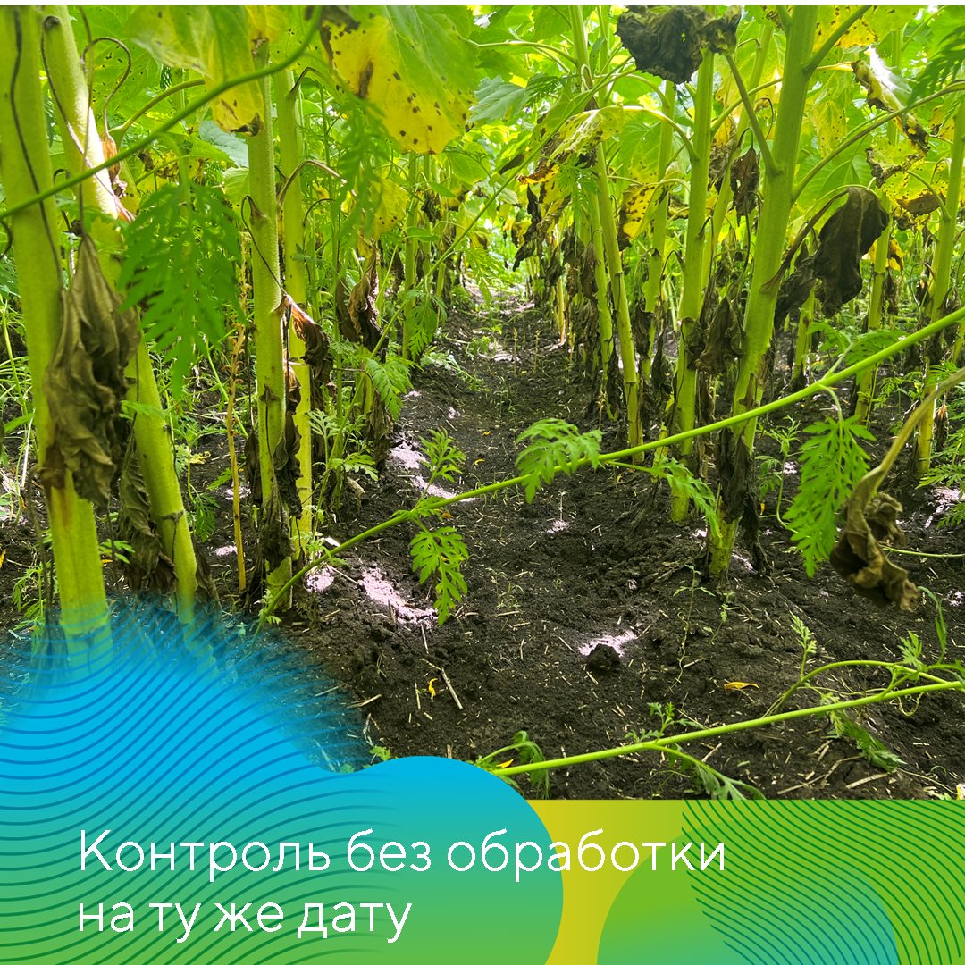 Пост 19.06.2025