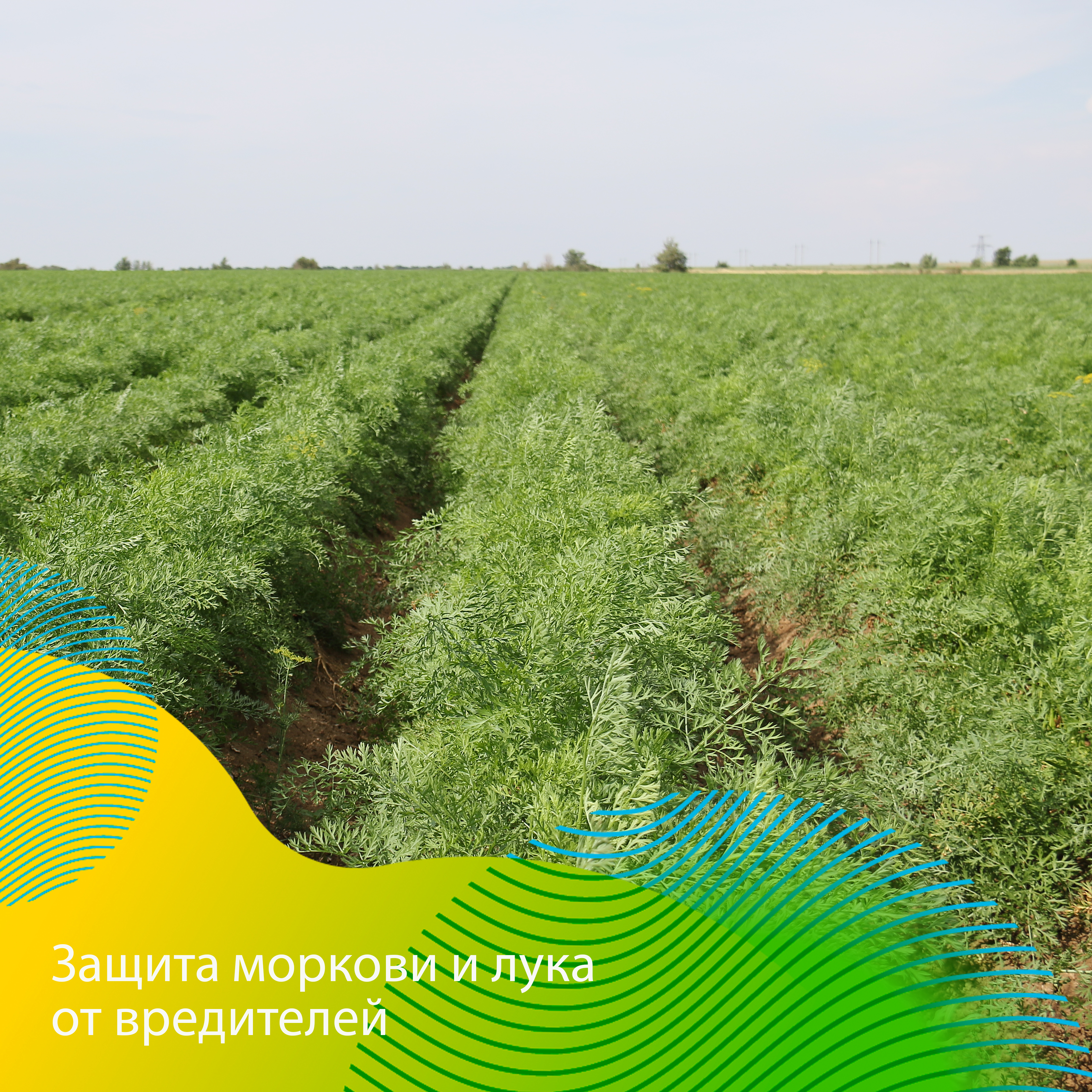 Пост 24.07.2026
