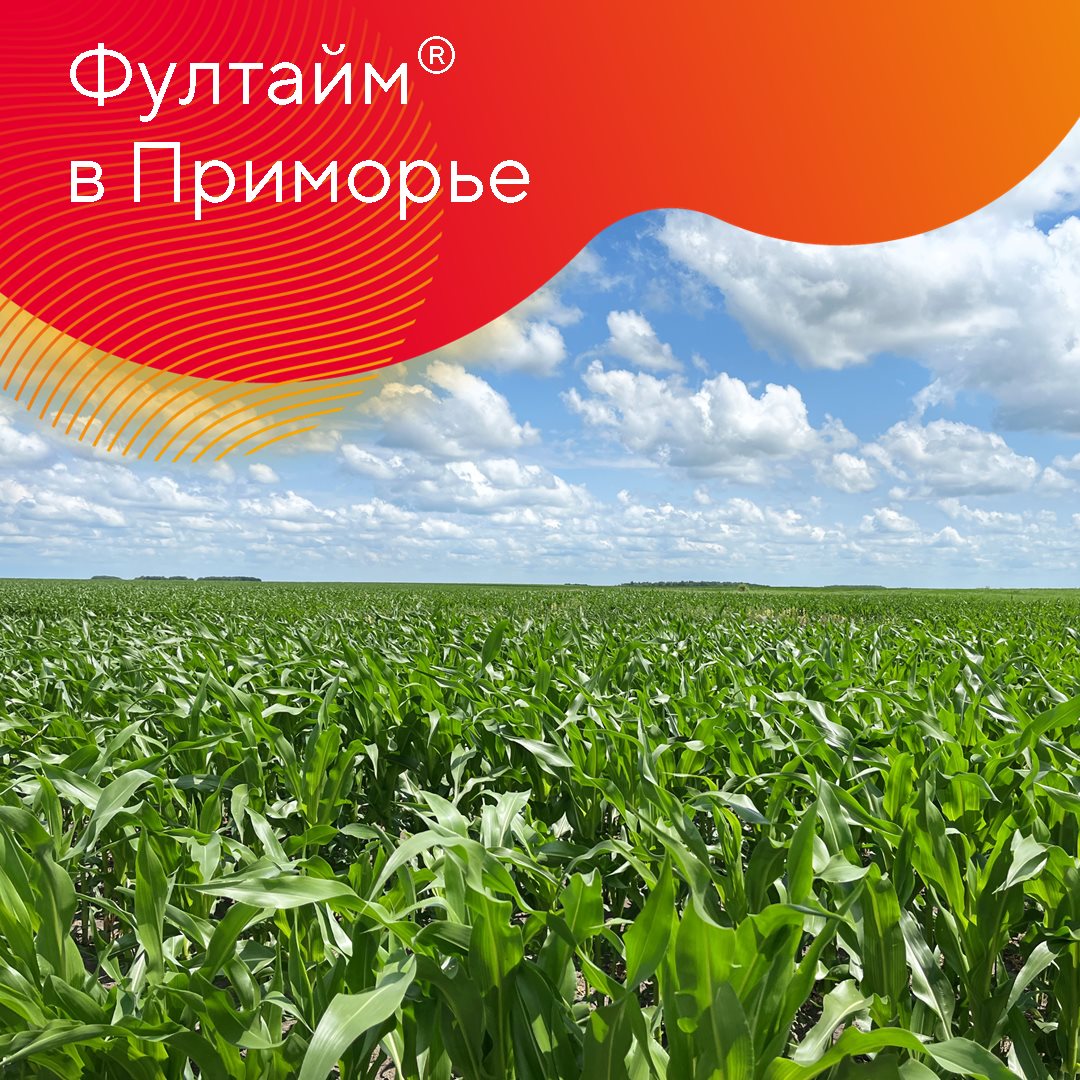 Гербицид Фултайм® октябрь 2023