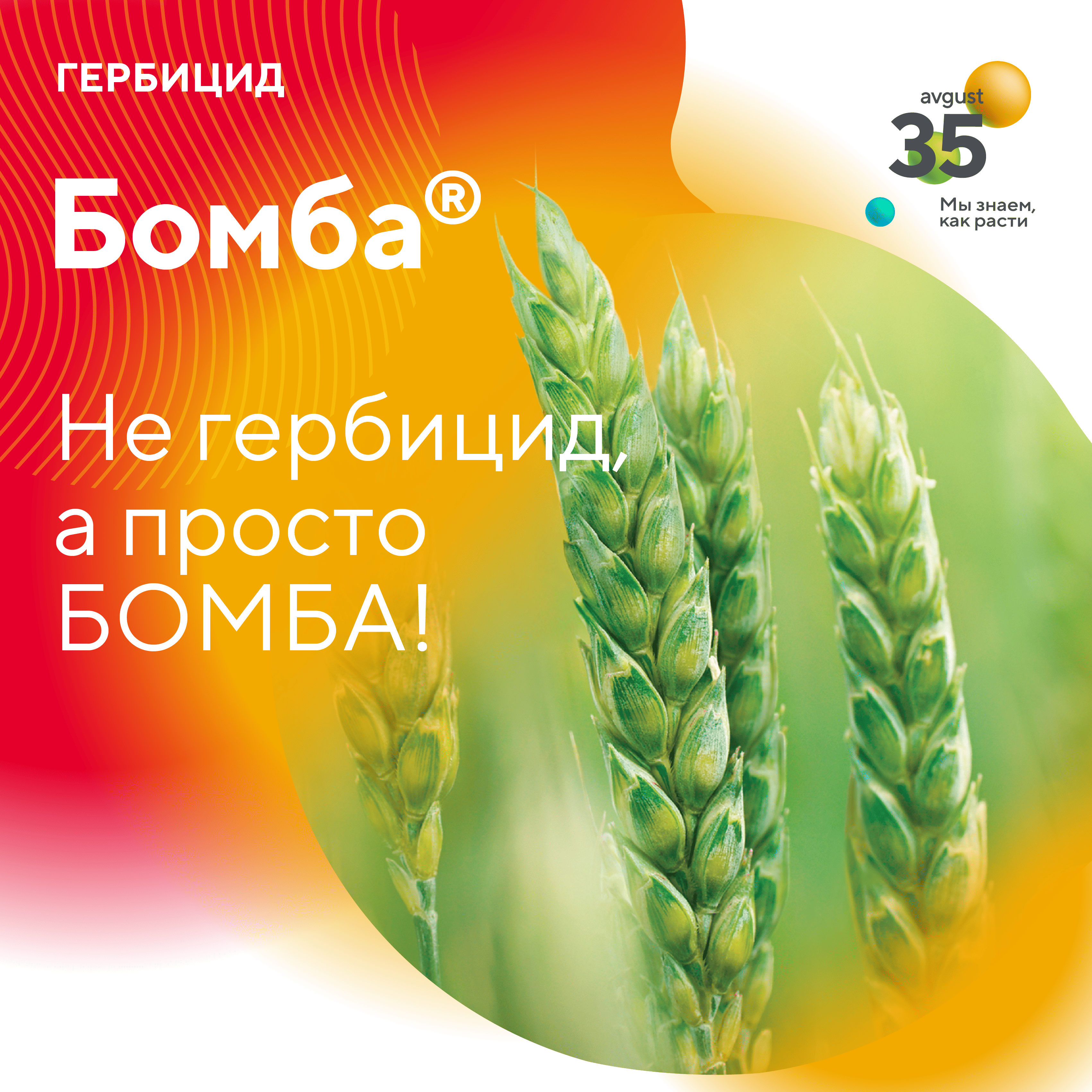 Пост 25.08.2025