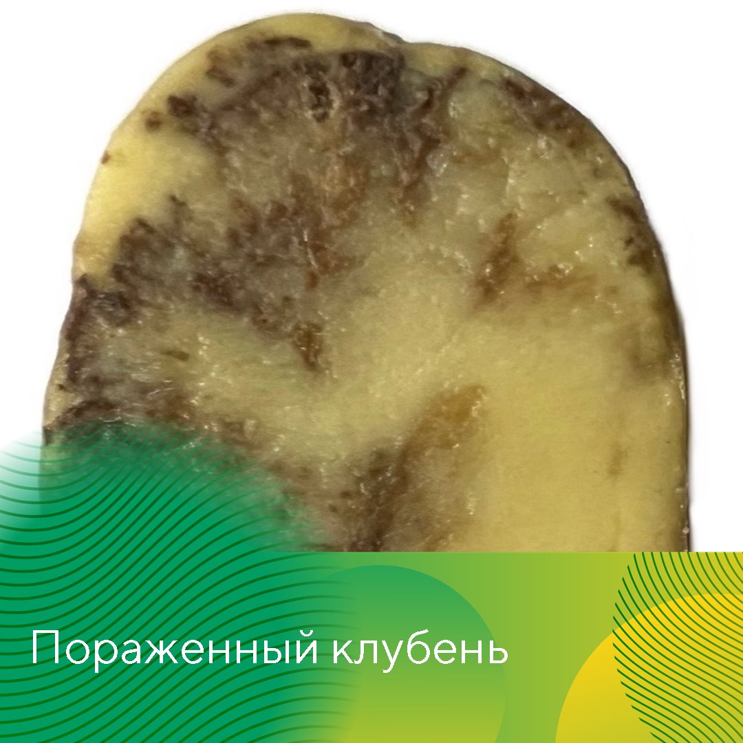 Пост 10.06.2025