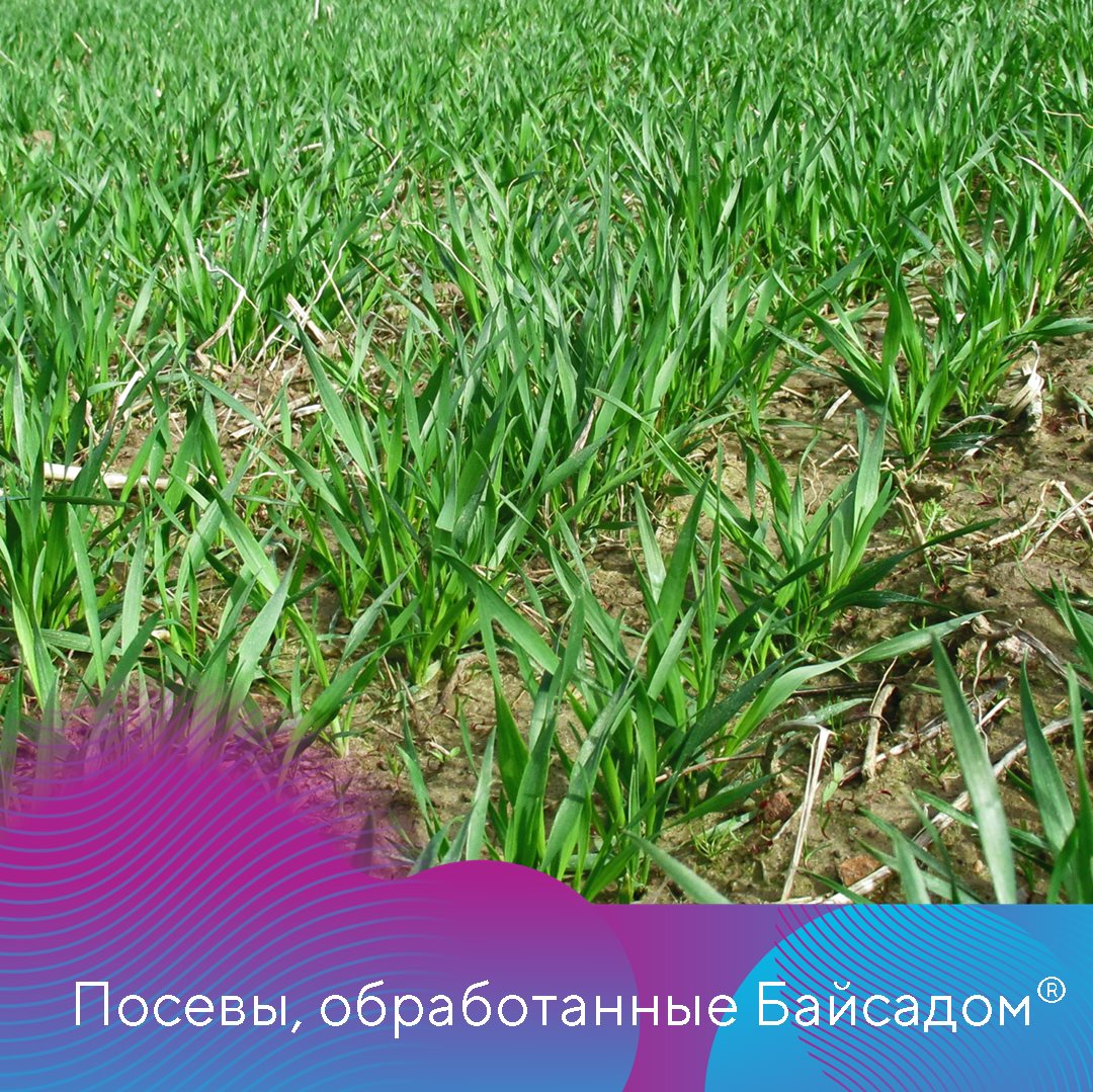Пост 20.08.2025