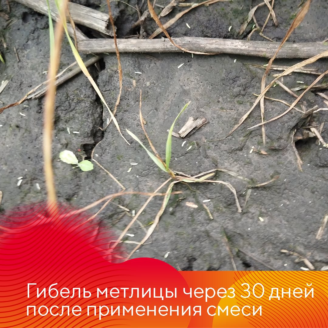 Пост 17.09.2025