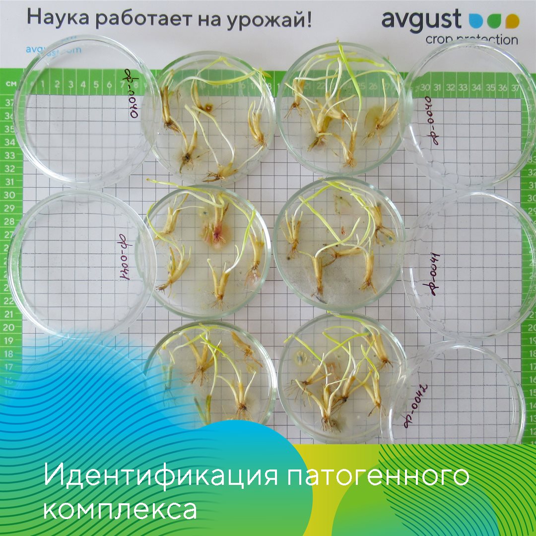 Пост 9.04.2026
