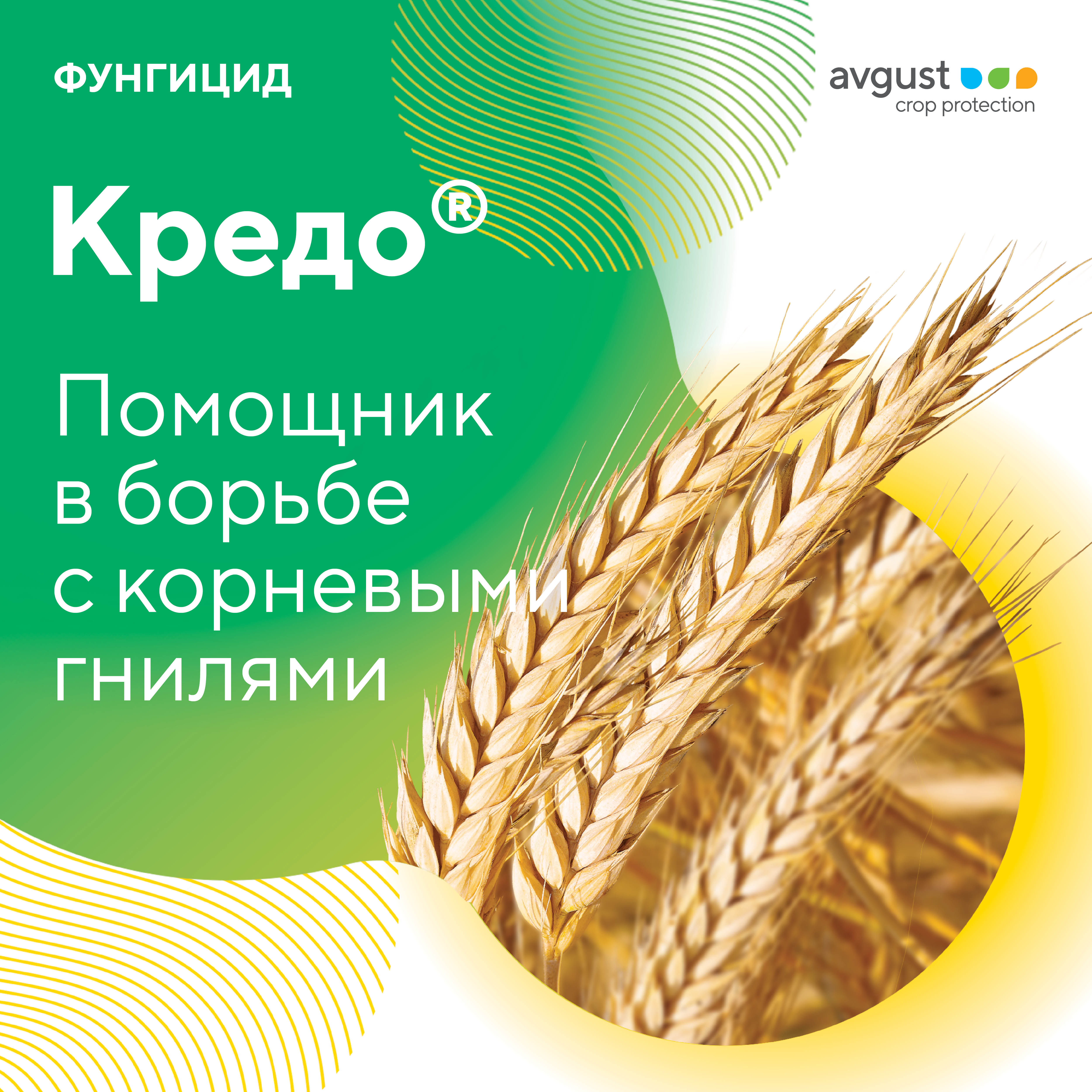Пост 08.10.2024