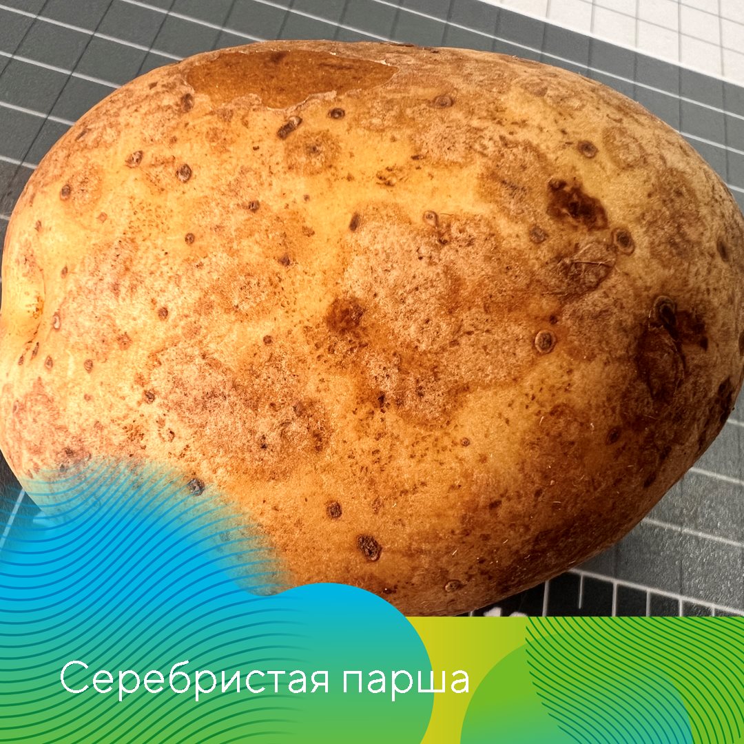 Екатерина Мурынкина 29.03