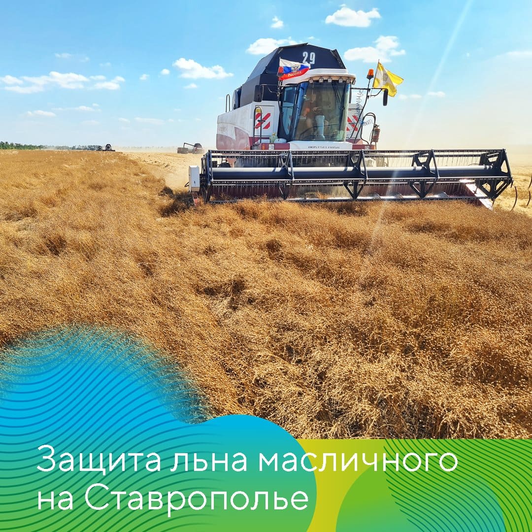 СПК «Колхоз Терновский» 2023