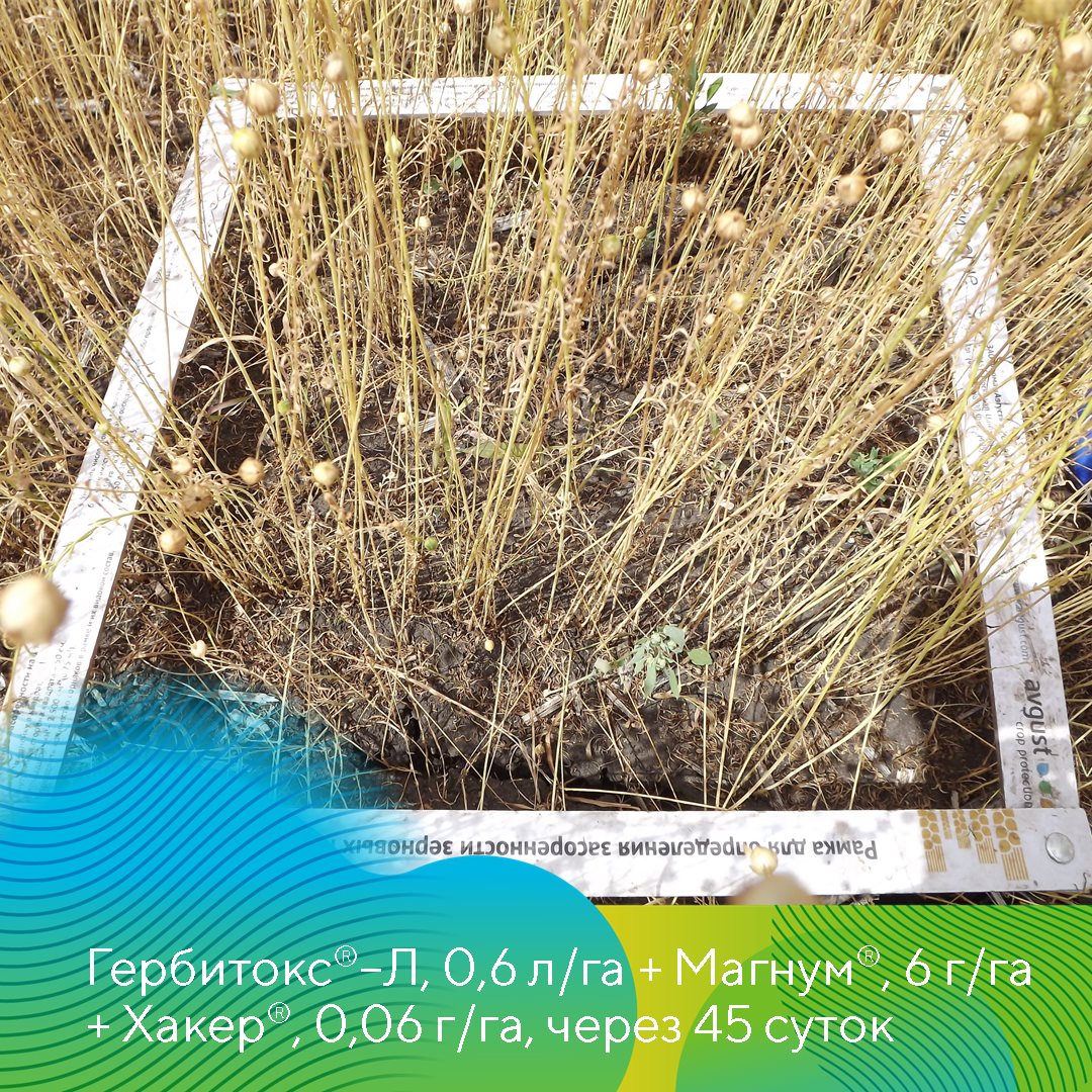 Пост 14.05.2026