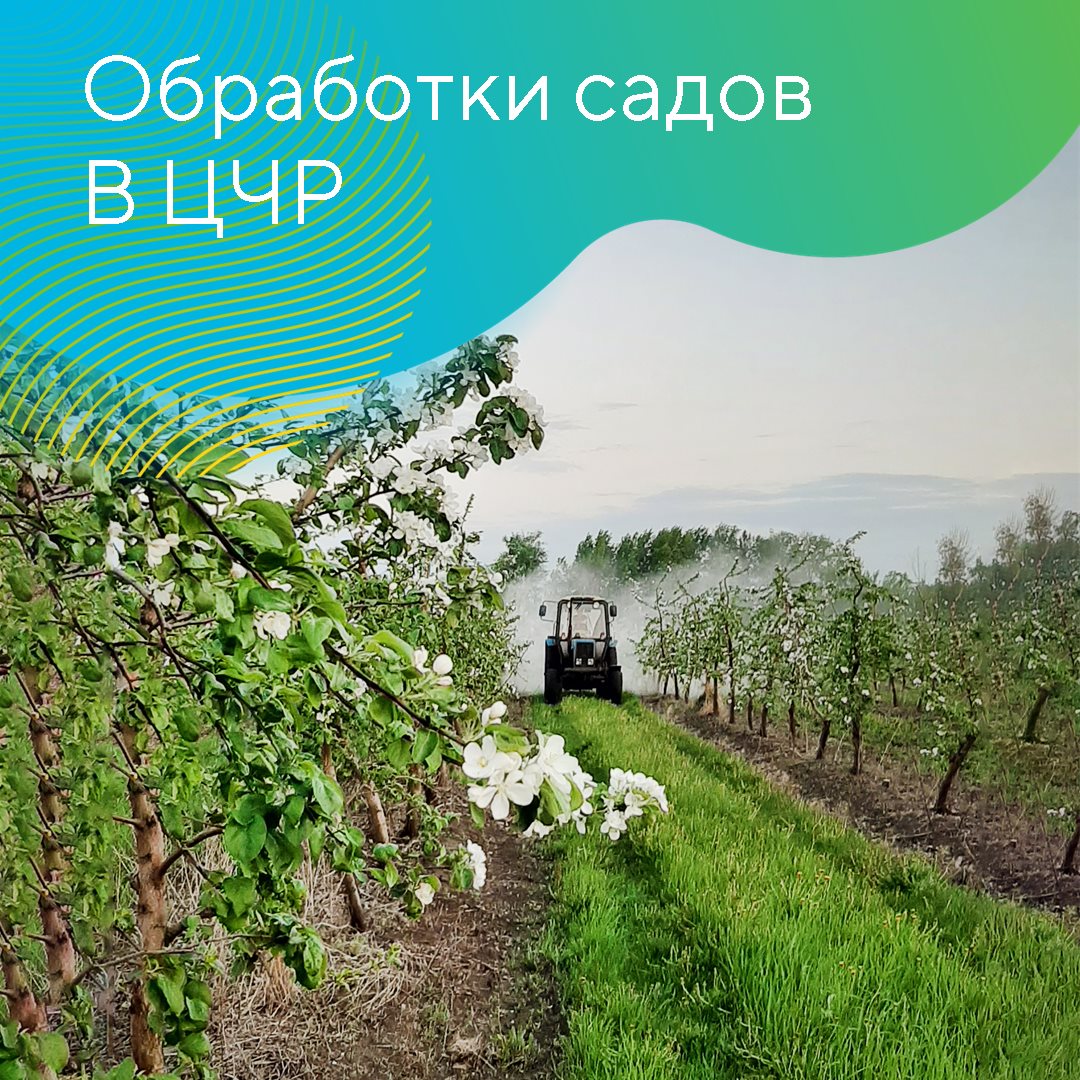Обработка садов в ЦЧР 2023