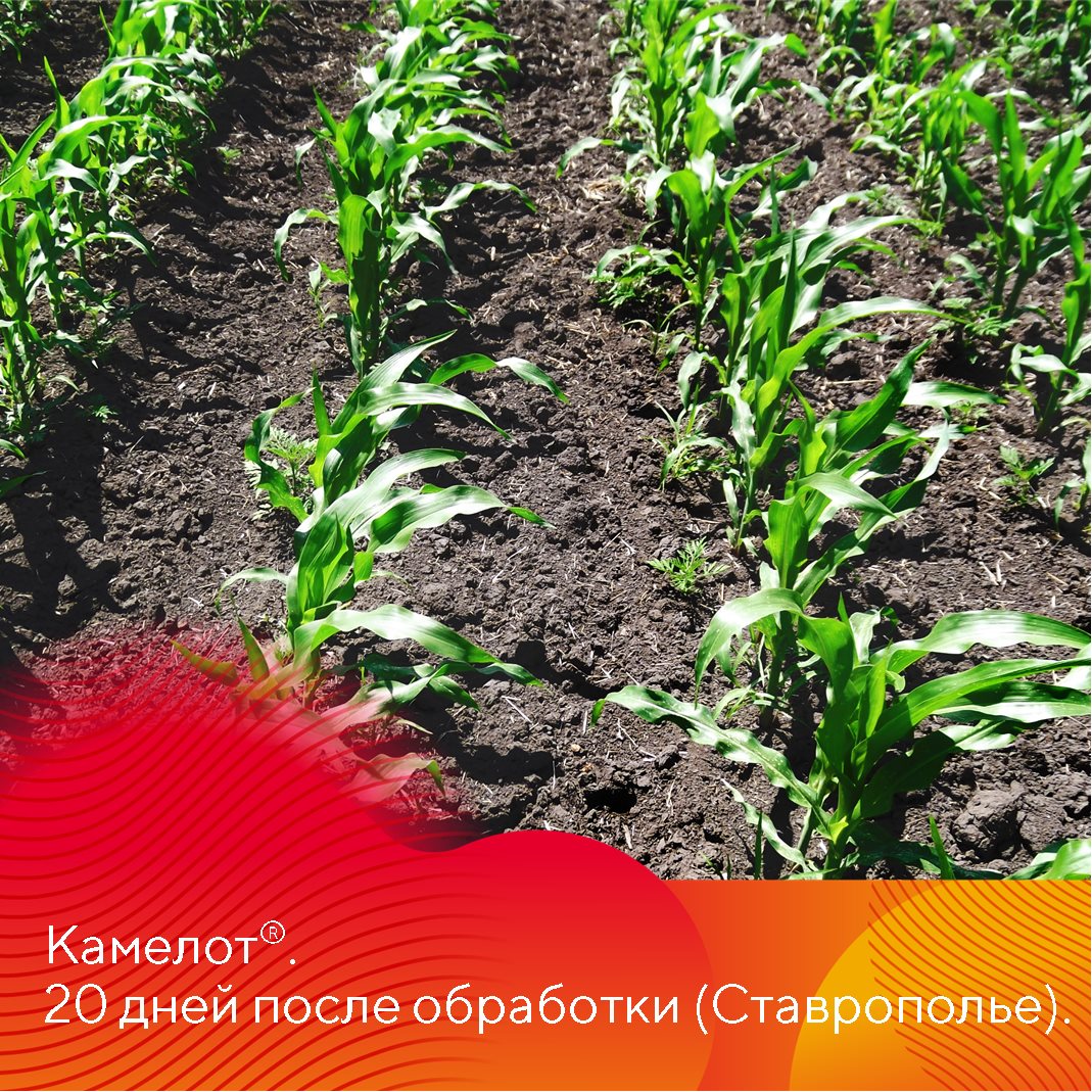 Пост 23.04.2025