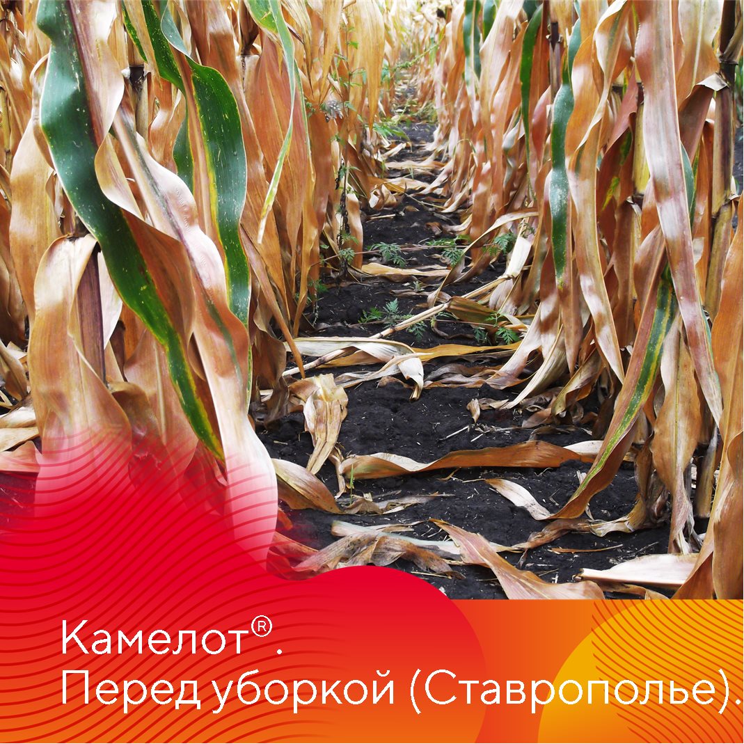 Пост 23.04.2025