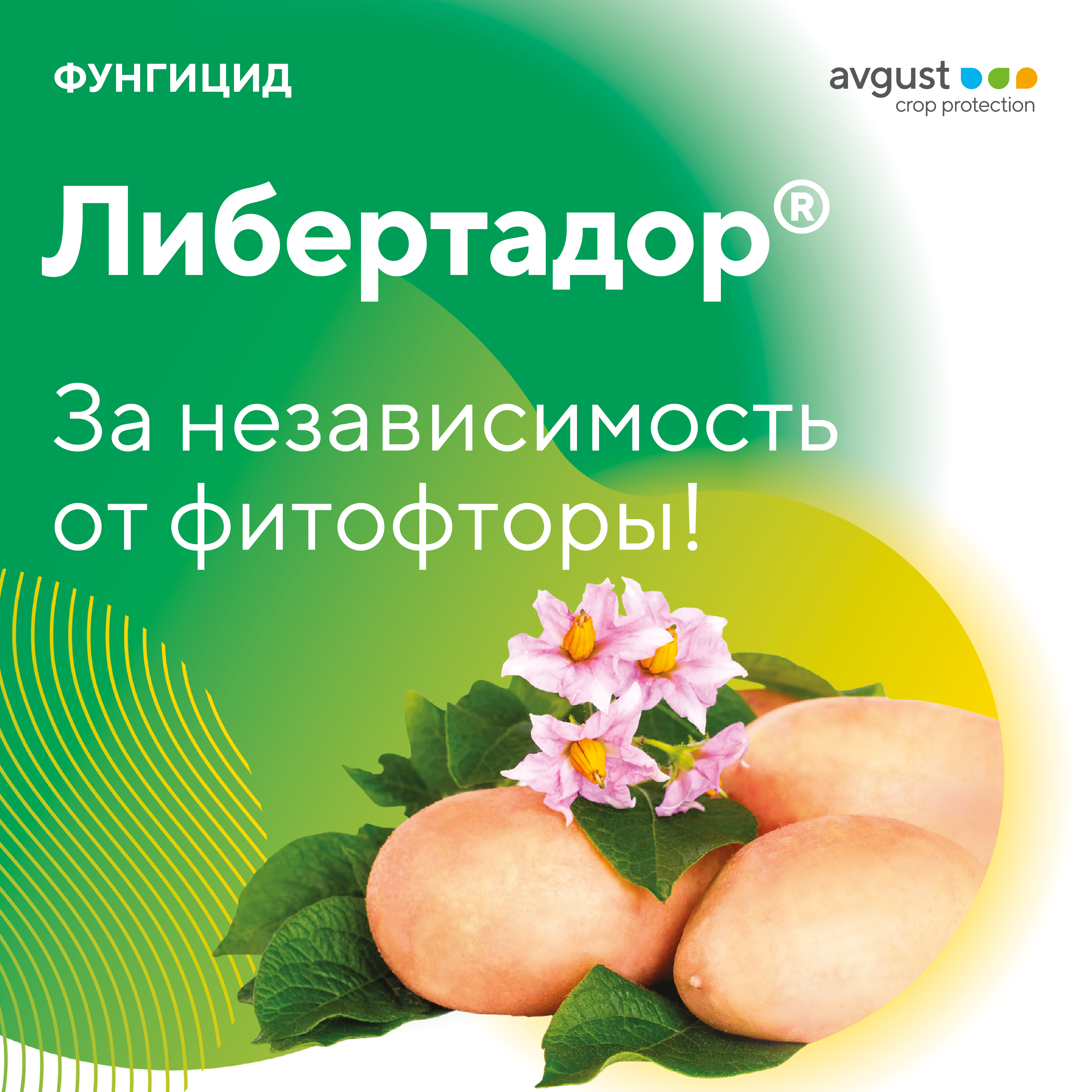Либертадор® июнь 2024