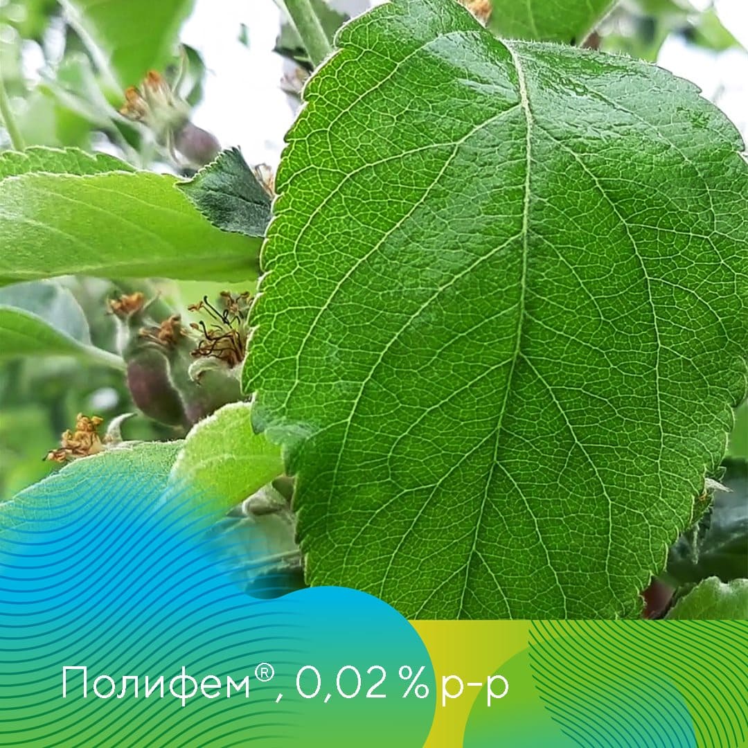 Адъювант Полифем® март 2023